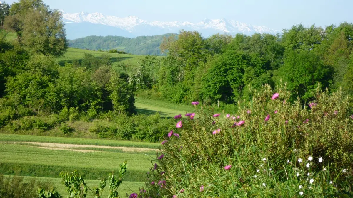 HLO- LIGNAIROLLES - SEAUME - Domaine de Chamert - Gite Pied de nez (13)