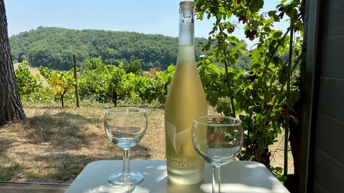 HLO- LIGNAIROLLES - SEAUME - Domaine de Chamert - Gite Pied de nez (2)