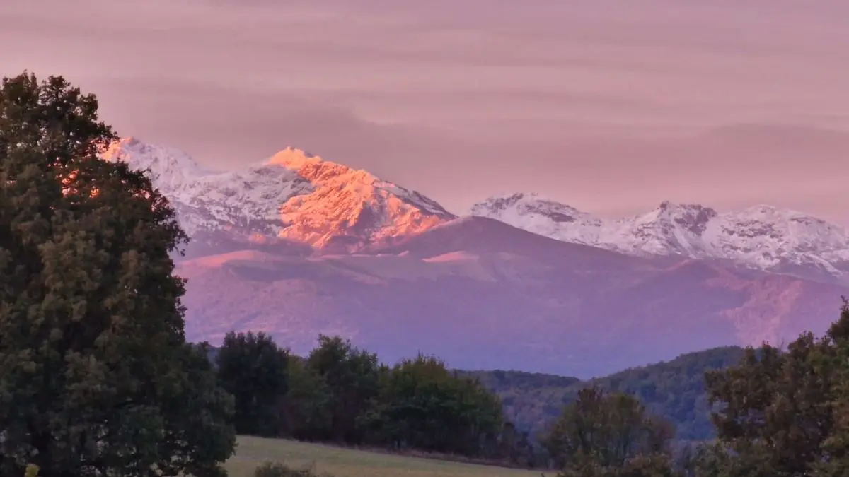 HLO- LIGNAIROLLES - SEAUME - Domaine de Chamert - Gite Pied de nez (8)