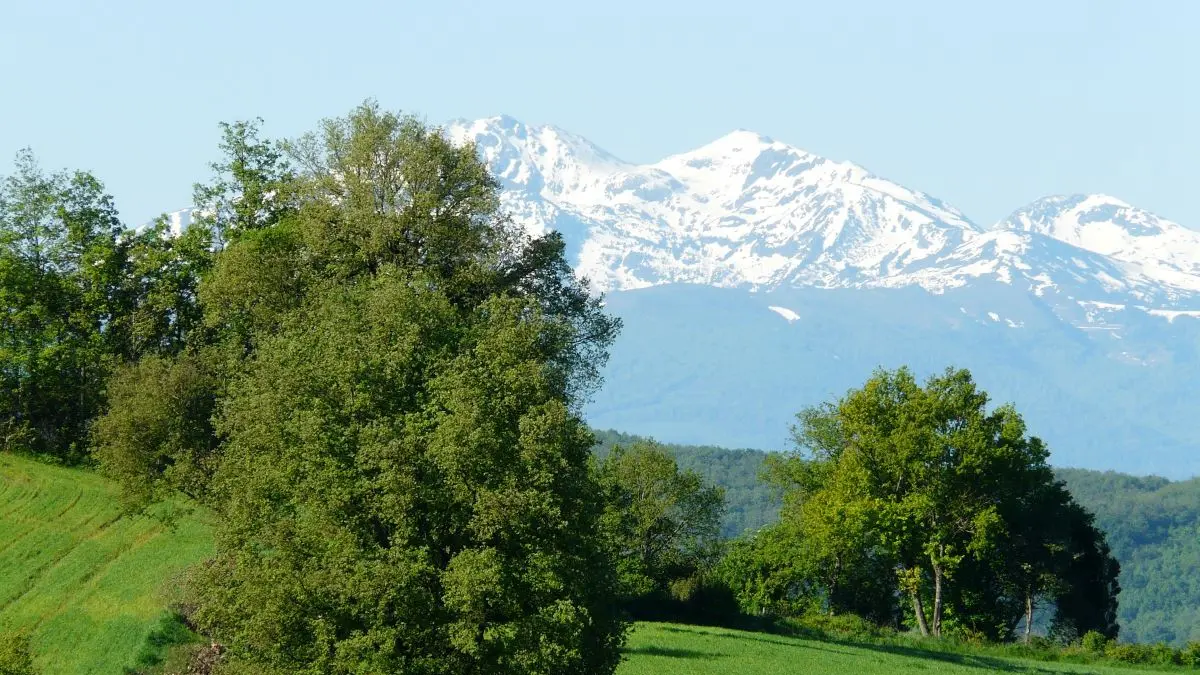 HLO- LIGNAIROLLES - SEAUME - Domaine de Chamert - Gite Piedestal (23)