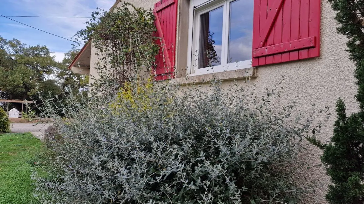 HLO- LIGNAIROLLES - SEAUME - Domaine de Chamert - Gite Piedestal (28)