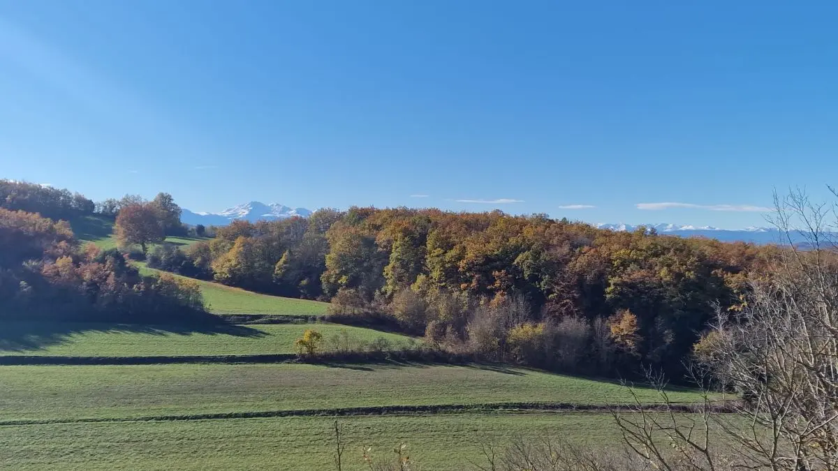 HLO- LIGNAIROLLES - SEAUME - Domaine de Chamert - Gite Piedestal (30)