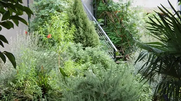 HLOLAR011V50GRAW - 4