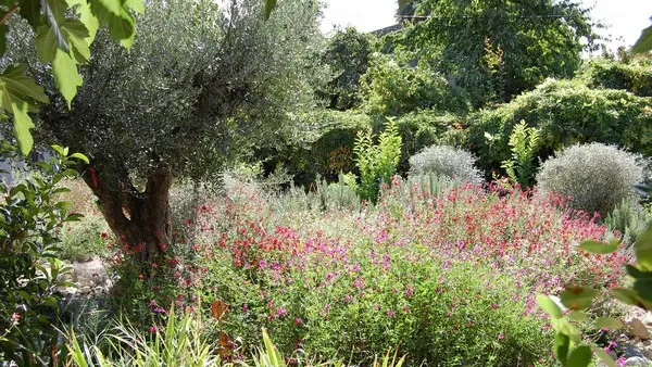 HLOLAR011V50GRAW - 7