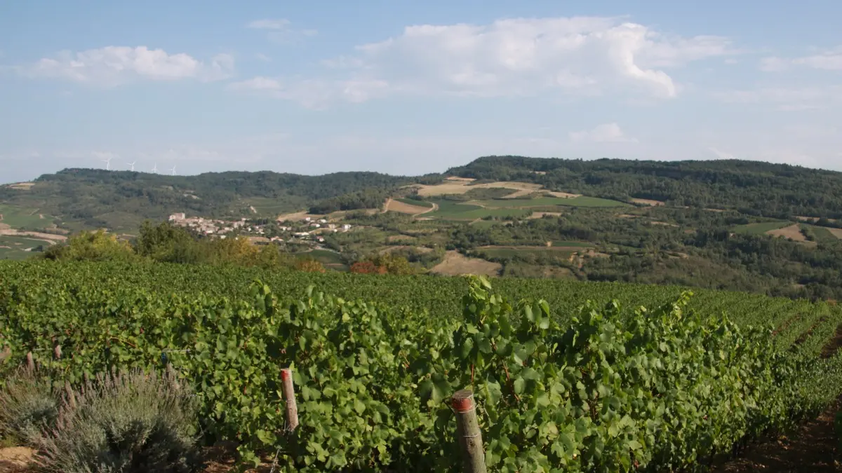 Domaine de Mouscaillo