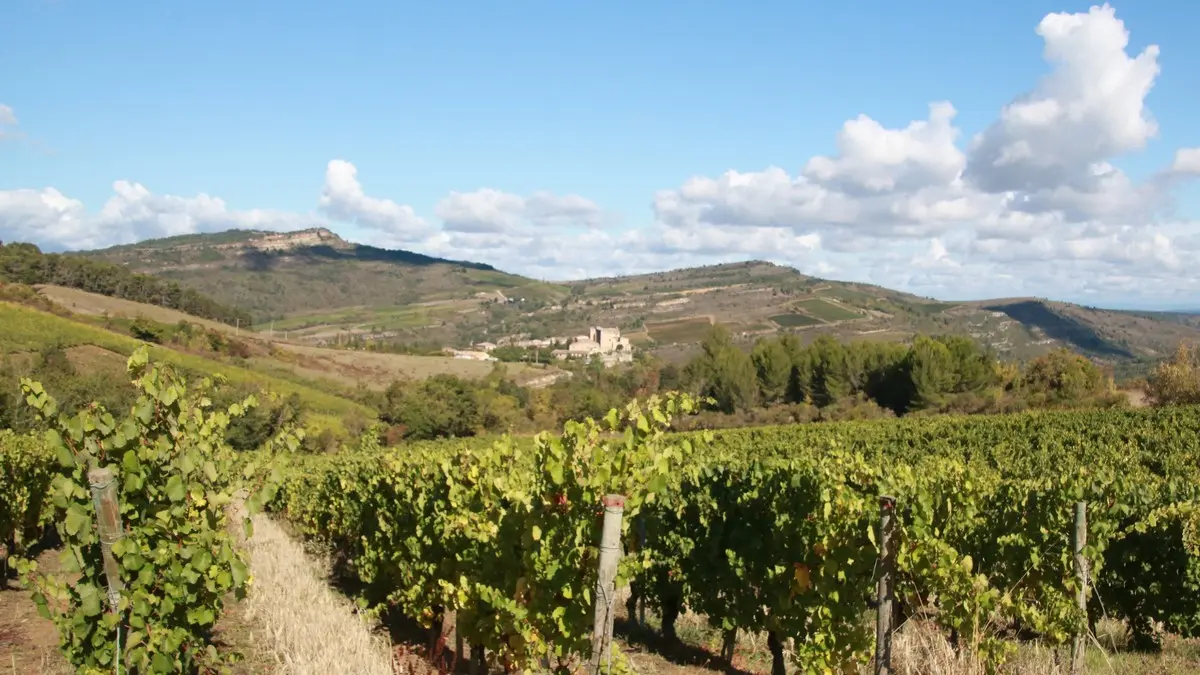 Domaine de Mouscaillo