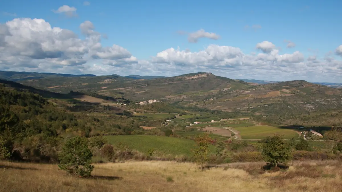 Domaine de Mouscaillo