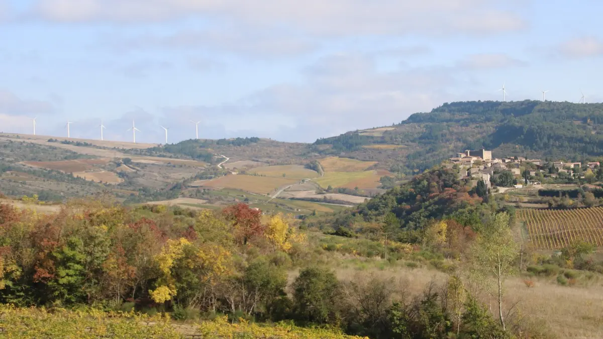 Domaine de Mouscaillo