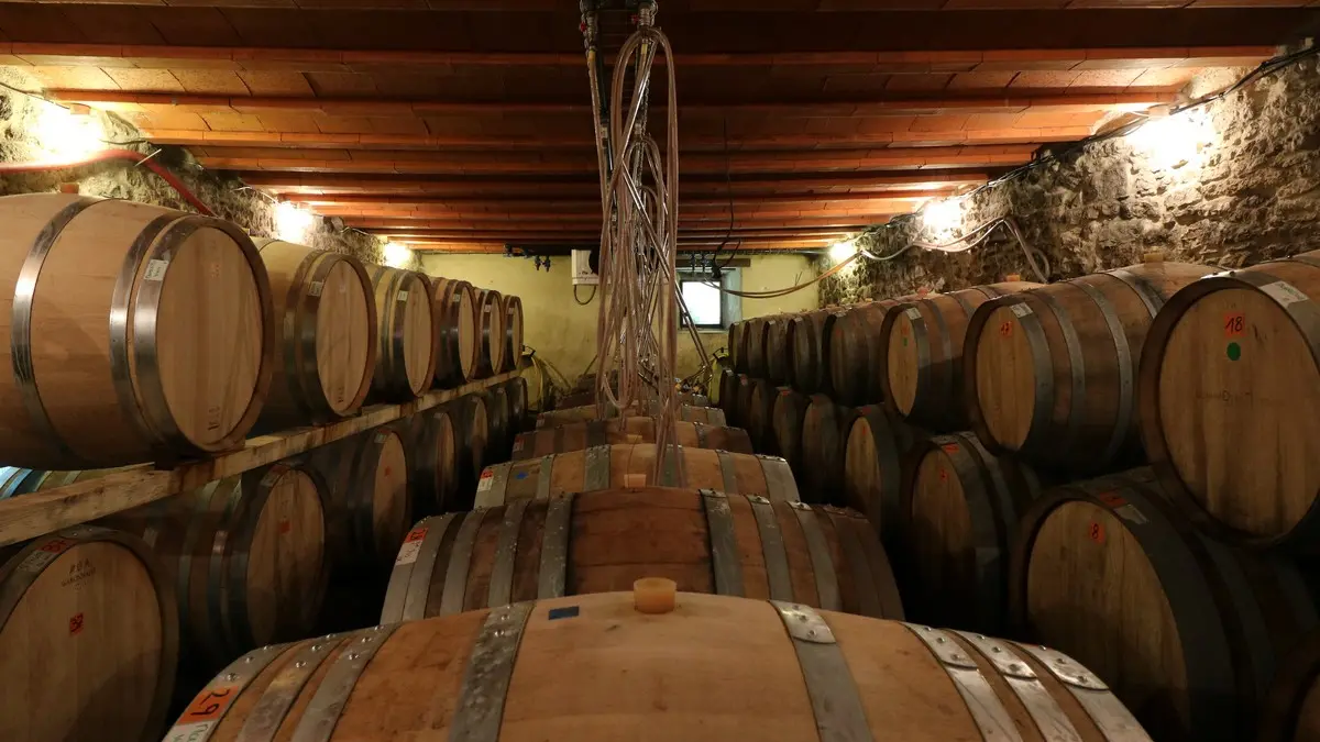 Domaine de Mouscaillo