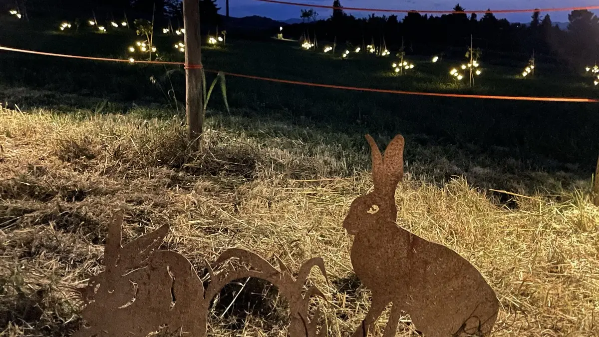 Saint André la Tuilerie