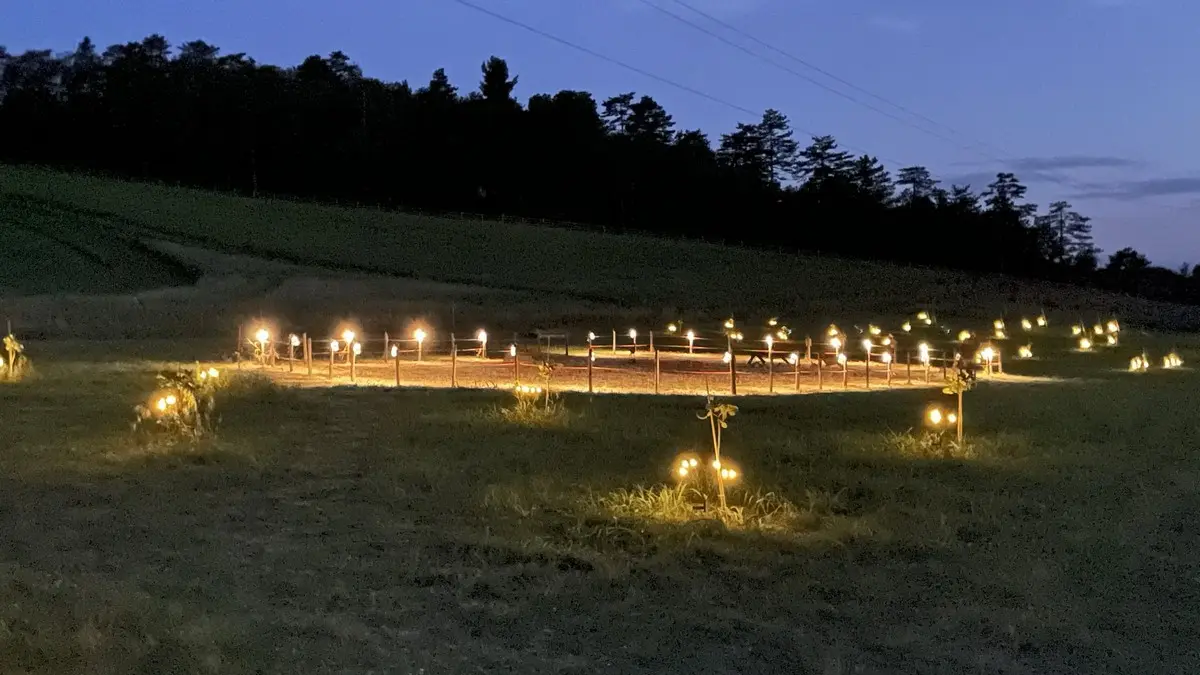 Saint André la Tuilerie