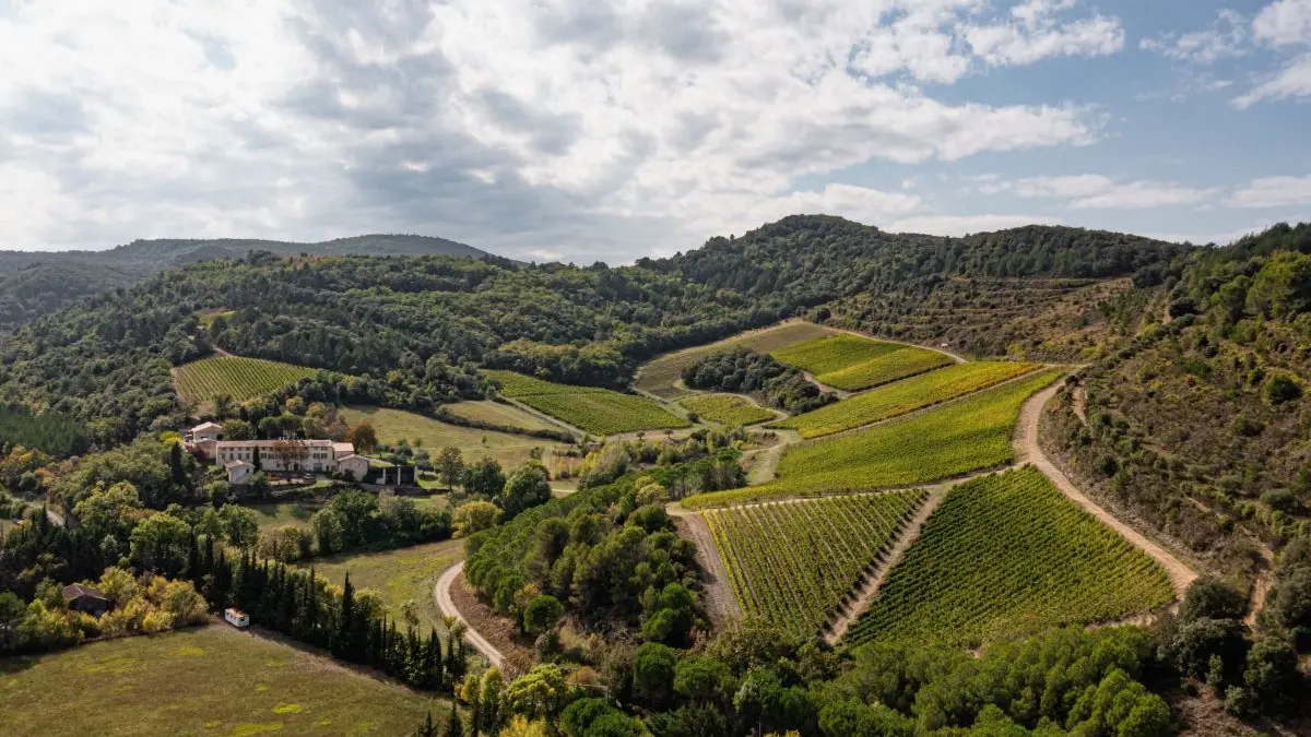 L'amphitéâtre de vigne domaine La Martine