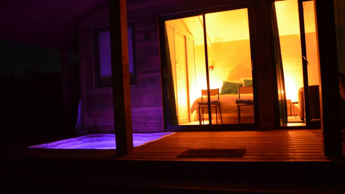 LA CABANE DES BAIES SAUVAGES (1)