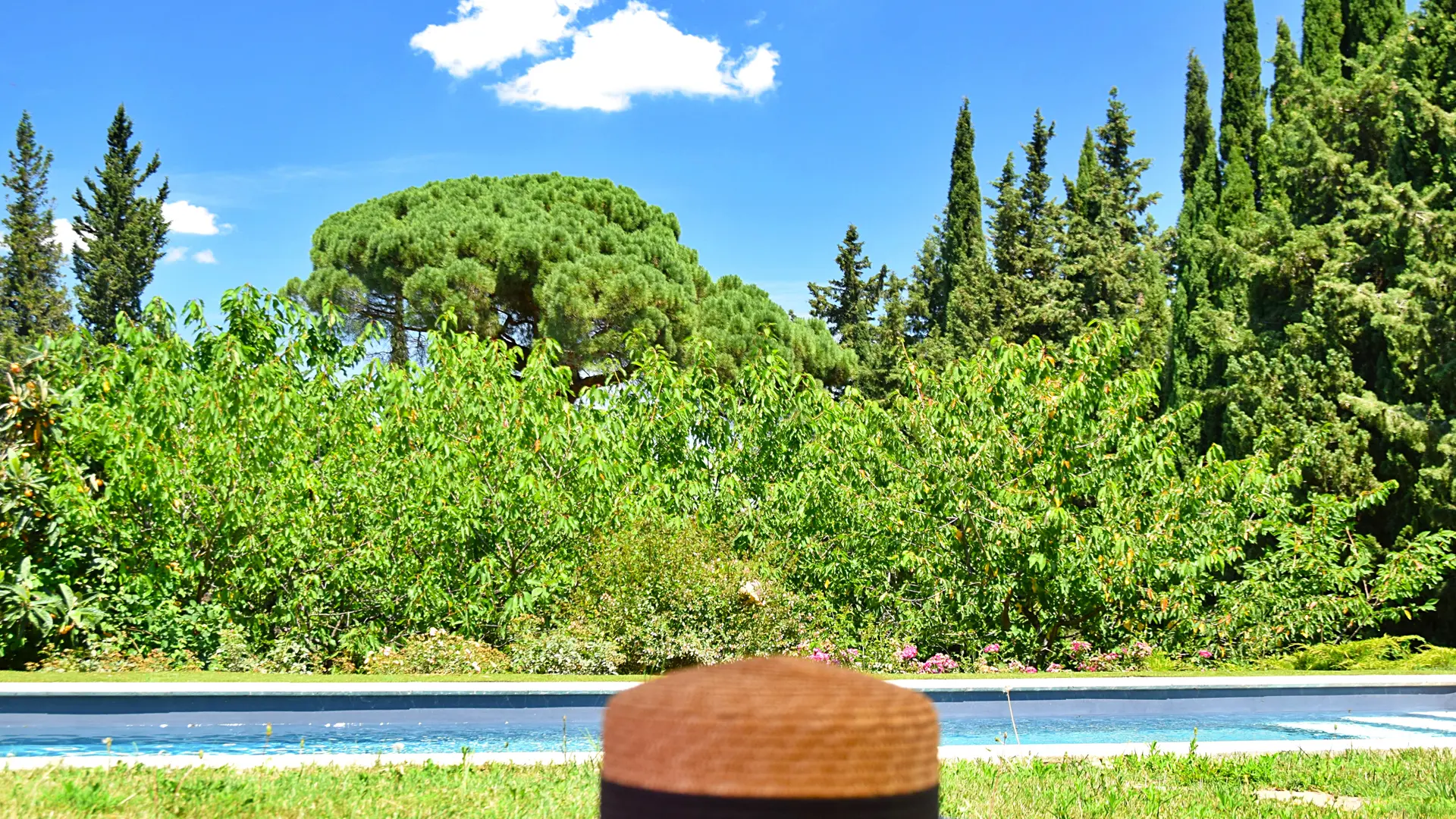 LA SALUTIERE 2025  (11)