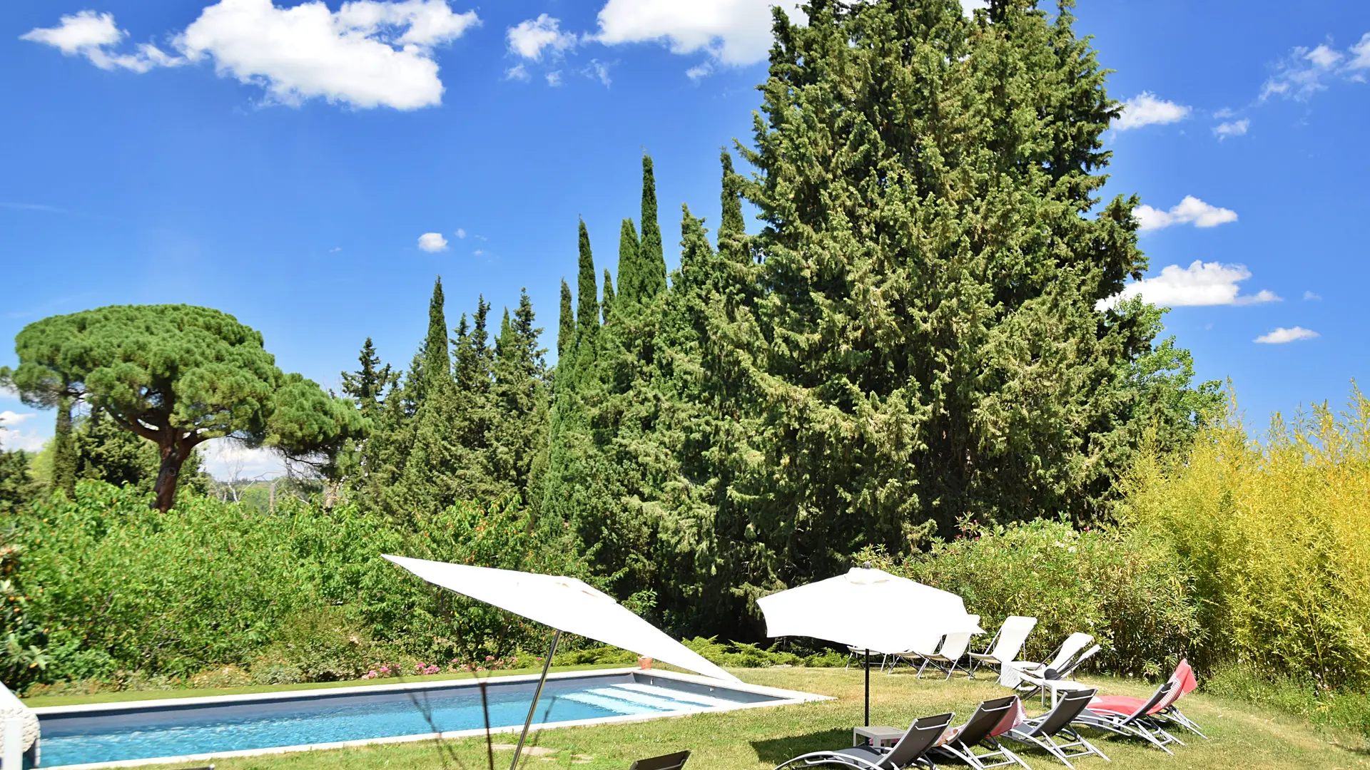 LA SALUTIERE 2025  (13)