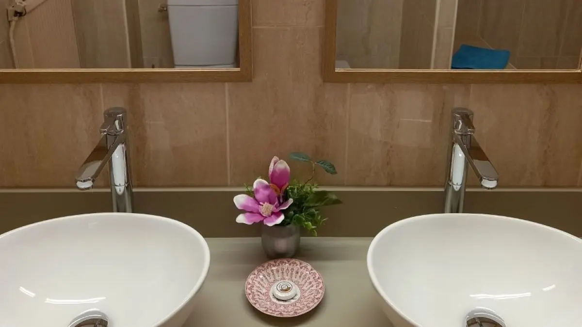 LANGUEDOCIENNE VASQUES