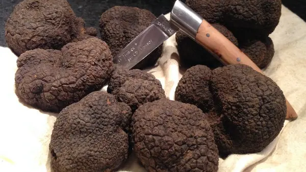 LARMURIER BARBAZA FRANÇOISE_2