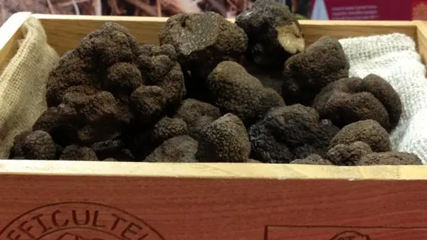 LARMURIER BARBAZA FRANÇOISE