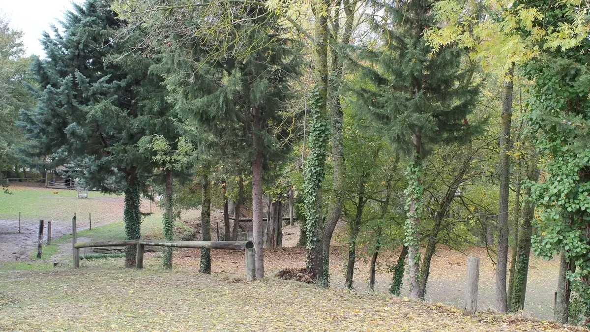 Les Arpents verts km 14©OTLimouxin(17)