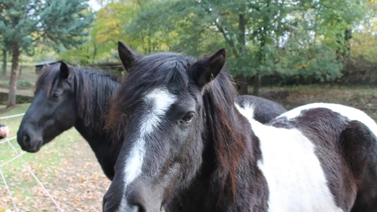 Les Arpents verts km 14©OTLimouxin(12)