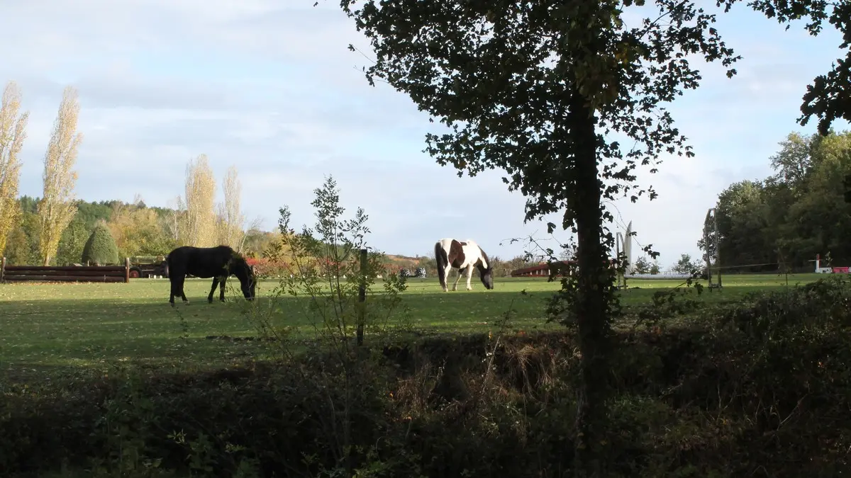 Les Arpents verts km 14©OTLimouxin(2)