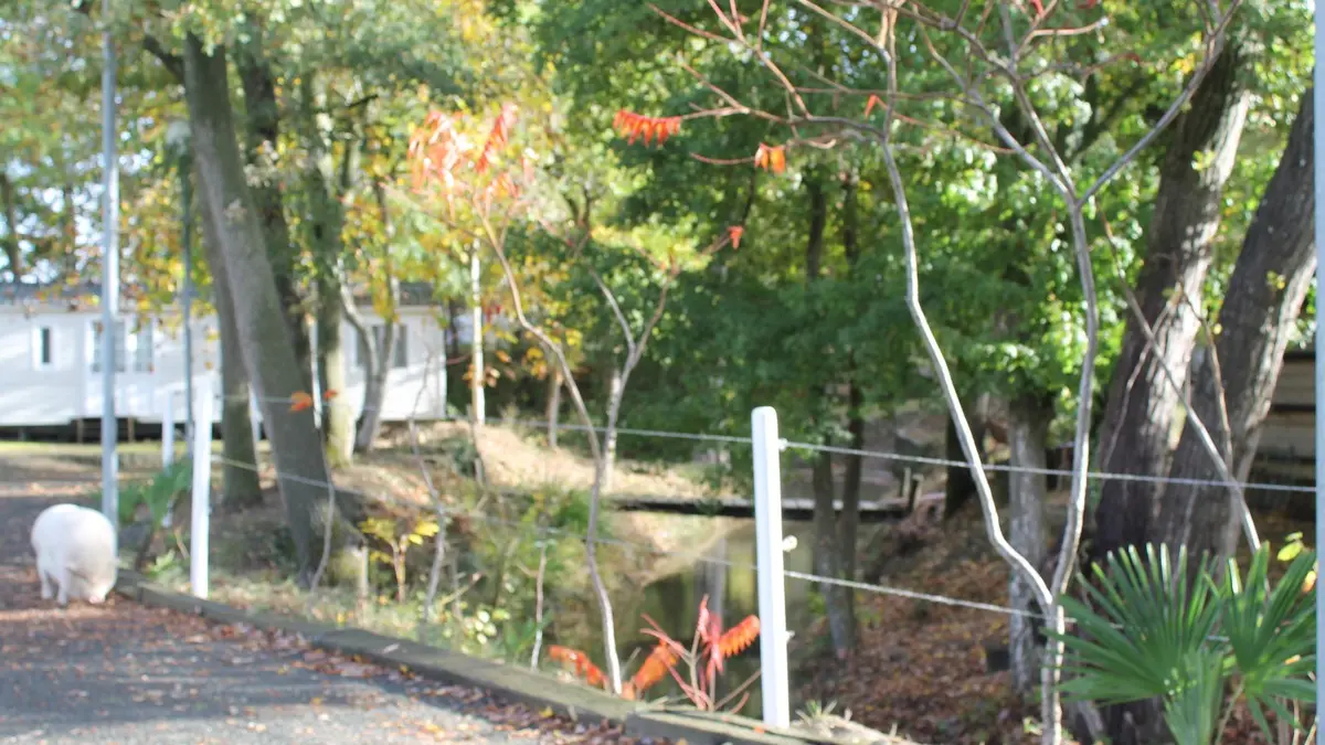 Les Arpents verts km 14©OTLimouxin(23)