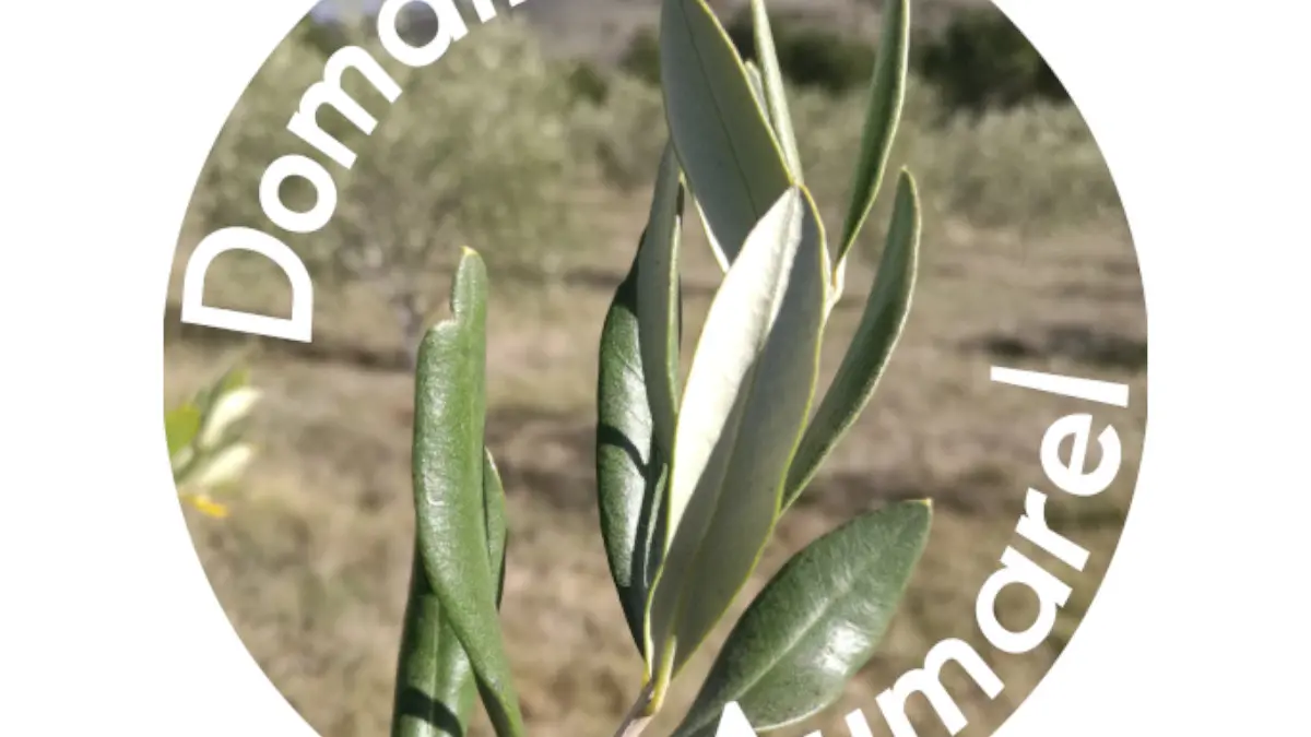 Logo du Domaine Amaurel