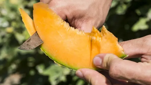 MONSIEUR JACQUES SARRAIL_1