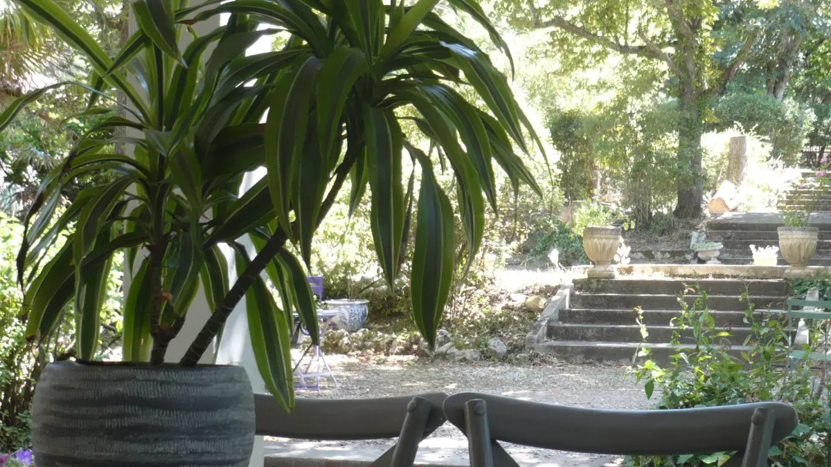 Maison Vive la vie (2)