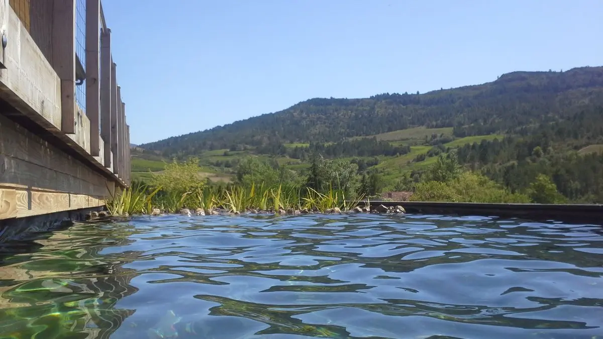 Maisondeslevriers_piscine_EEV