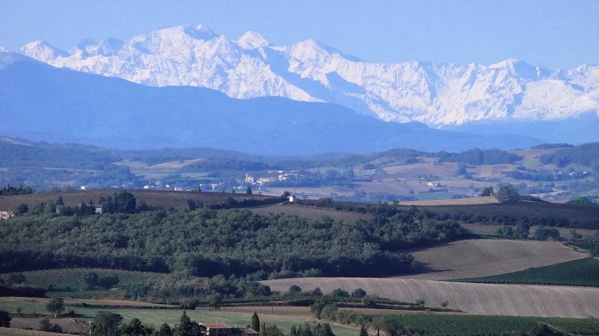 TERROIR MALEPERE - MONTREAL