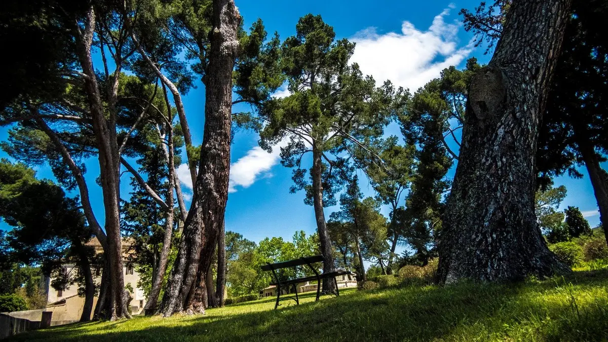 Notre Dame de Marceille 5_Limoux_2019_©Anthony Molina