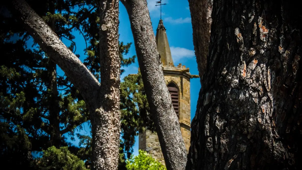 Notre Dame de Marceille 7_Limoux_2019_©Anthony Molina