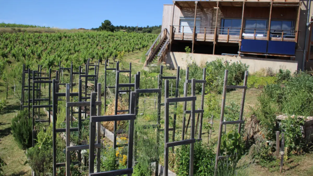 Oasis de permaculture 2