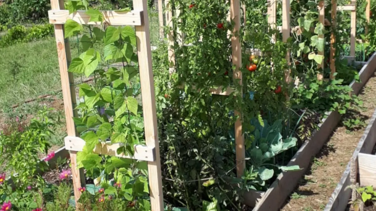 Oasis de permaculture 4