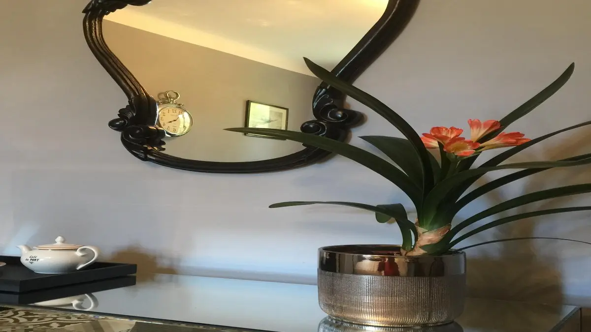 PIECE PRINCIPALE - ECONOMY