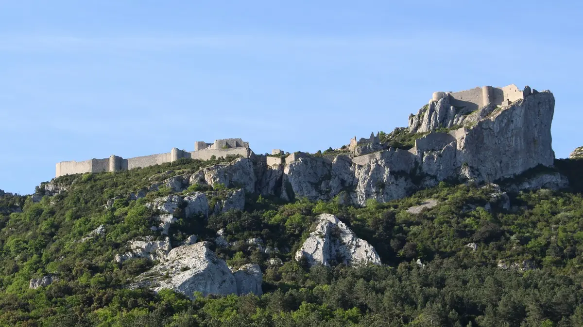 PEYREPERTUSE