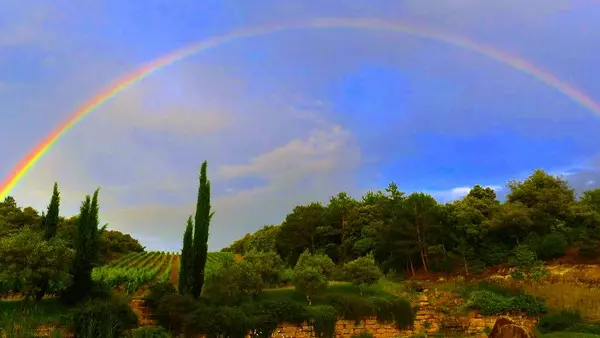 RESLAR011V50BASZ - 2019 (1)