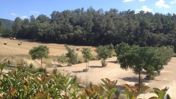 RESLAR011V50BASZ - 2019 (2)