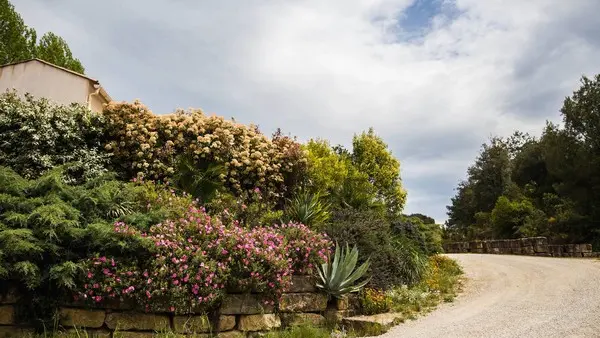 RESLAR011V50BASZ - 2019 (5)