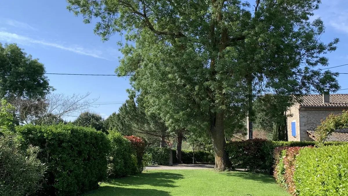 SCI D'ARGENTON - Le Petit Fournery jardin vue