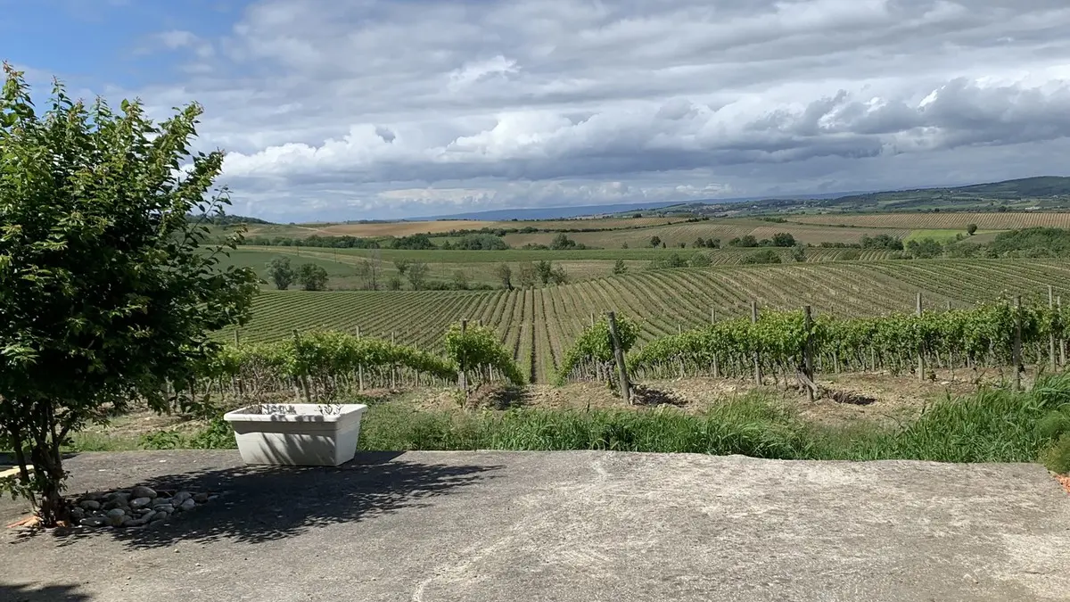 SCI D'ARGENTON - Le Petit Fournery terrasse nord