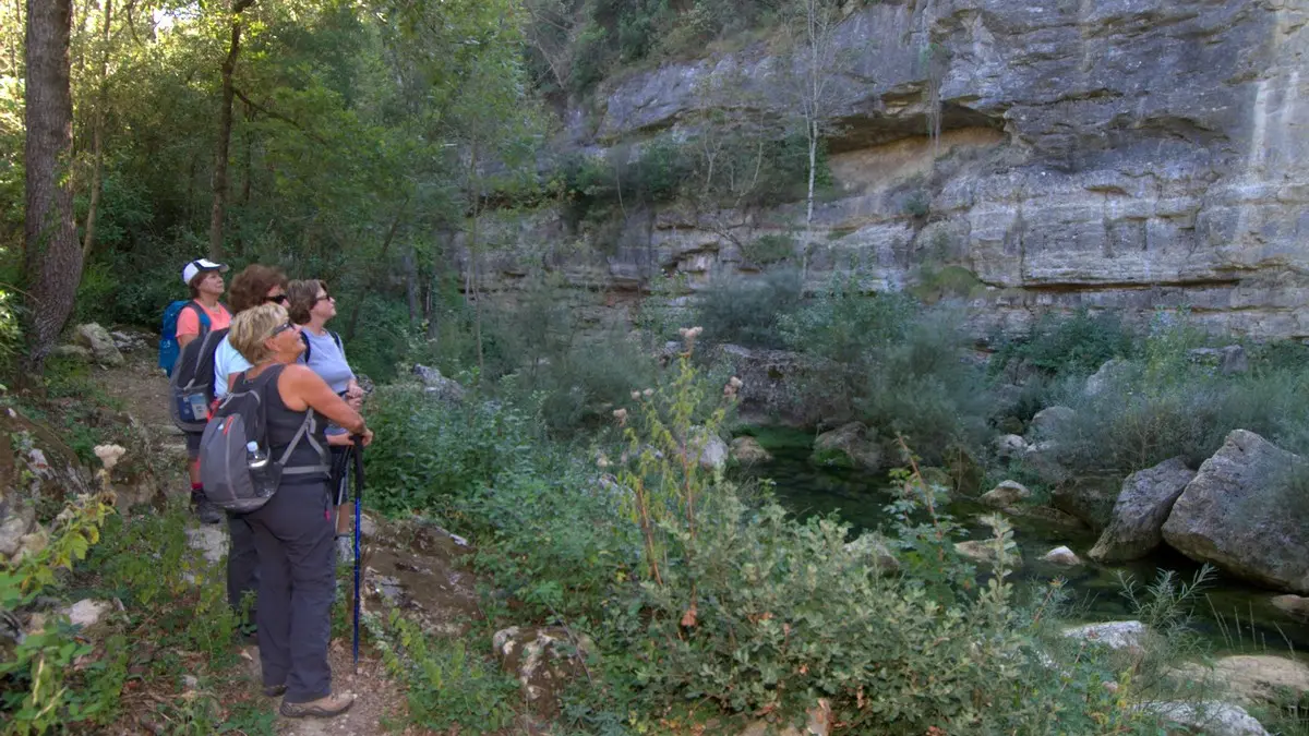 Sentier des Plots_Greffeil_2018_© Jean-Louis Socquet (2)