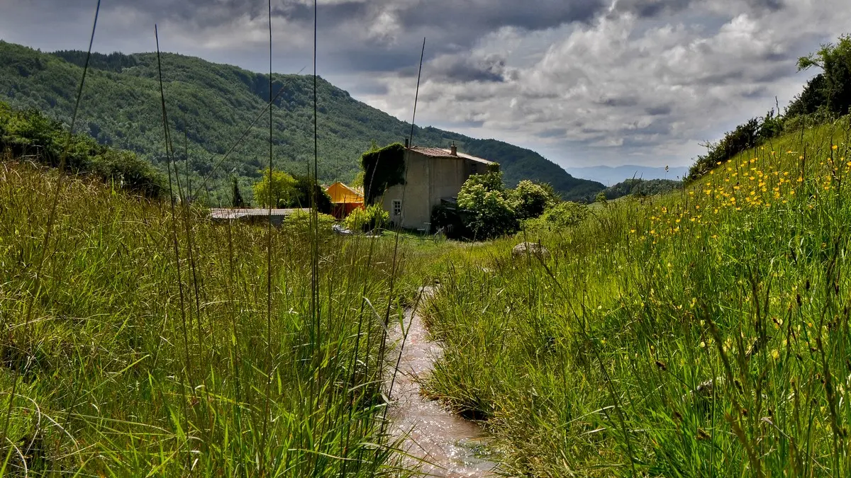 Source Salée_Sougraigne_2011_PCU PNA © Jean-Louis Socquet-Juglard (10)