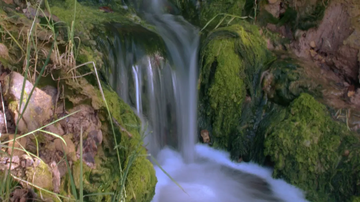 Source Salée_Sougraigne_2011_PCU PNA © Jean-Louis Socquet-Juglard (16)