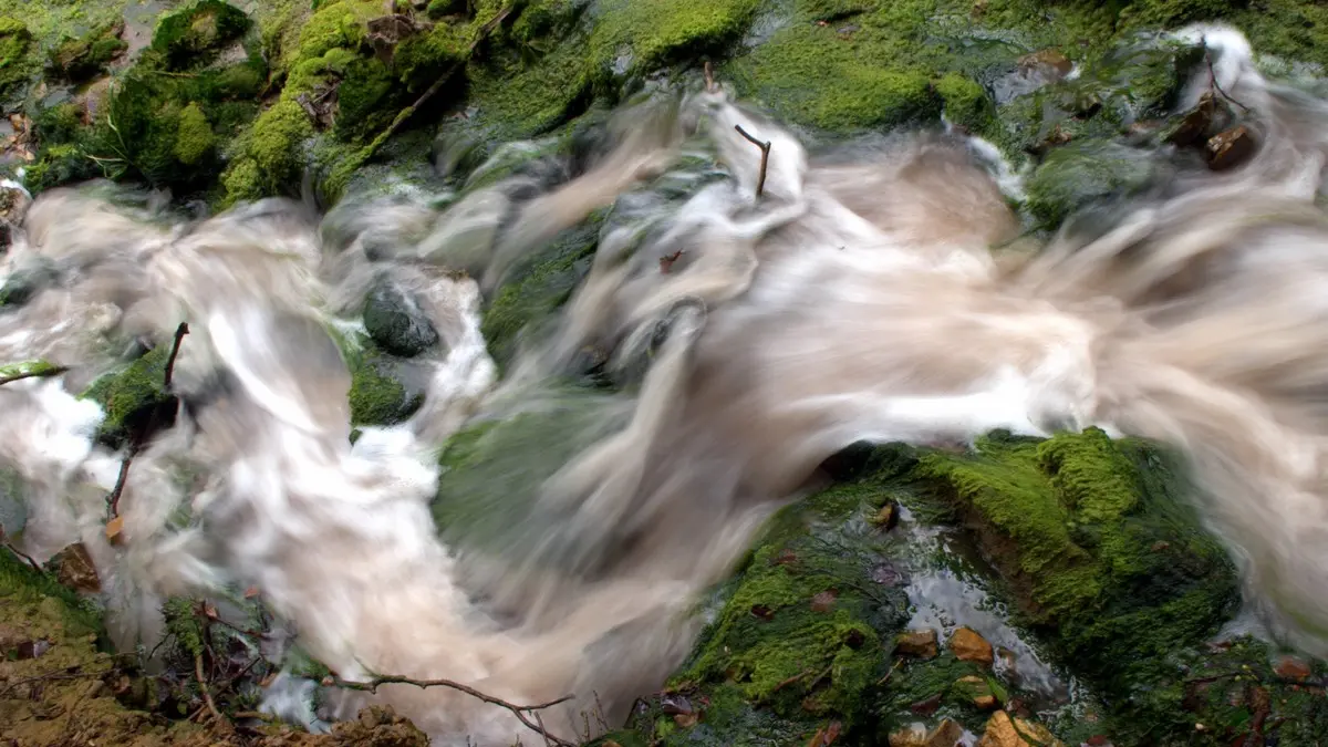 Source Salée_Sougraigne_2011_PCU PNA © Jean-Louis Socquet-Juglard (6)