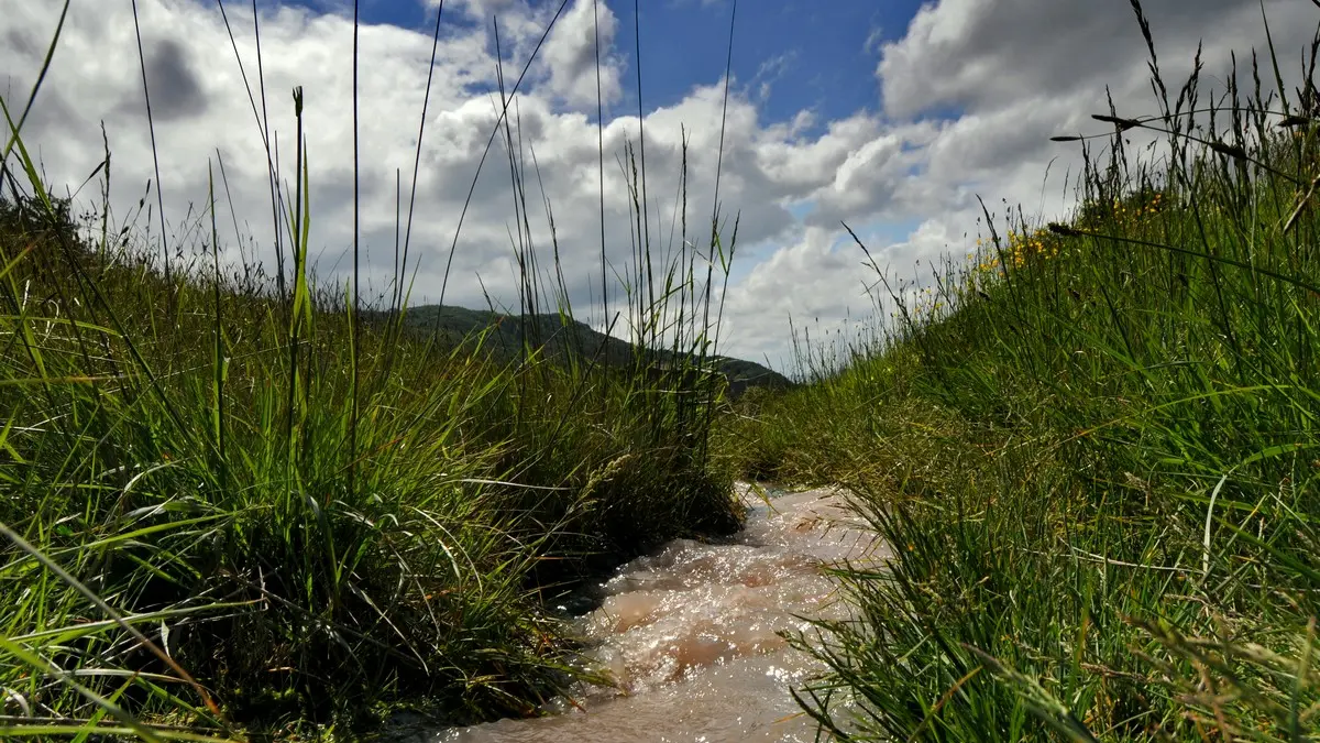 Source Salée_Sougraigne_2011_PCU PNA © Jean-Louis Socquet-Juglard (9)
