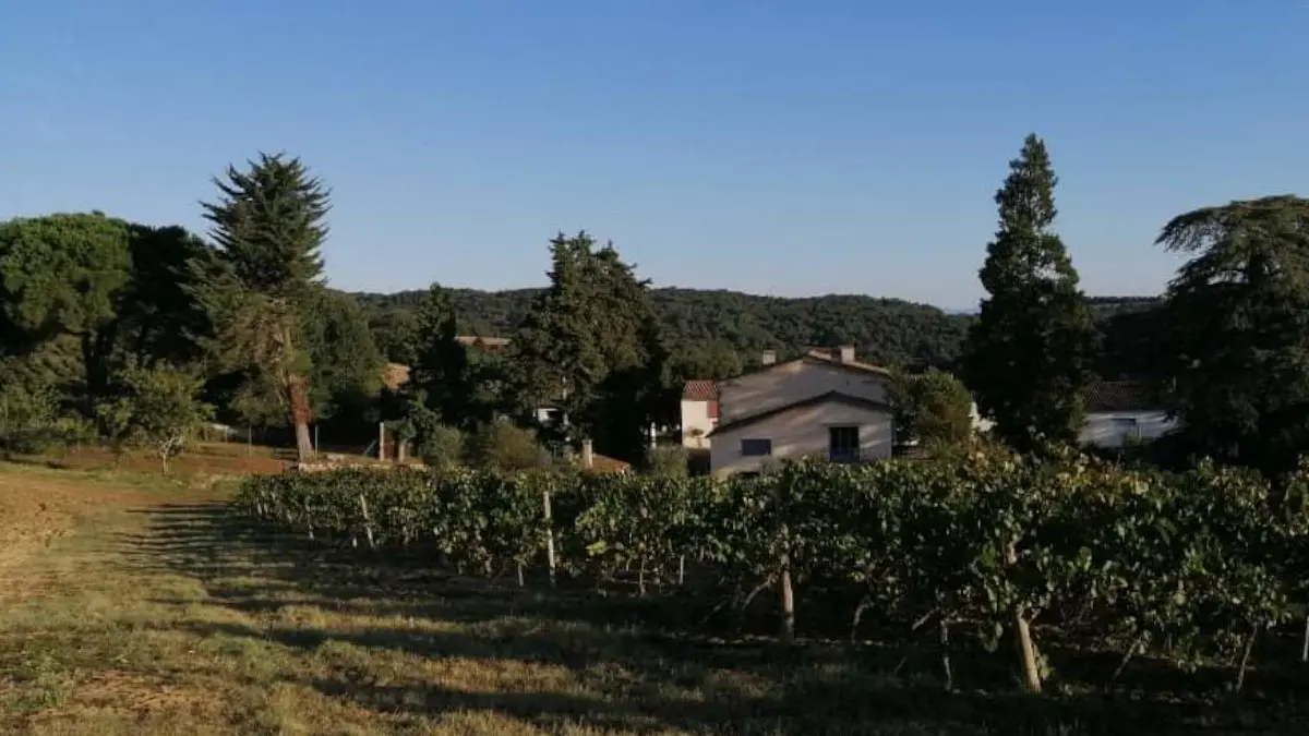 SCEA DOMAINE DE TREILLE