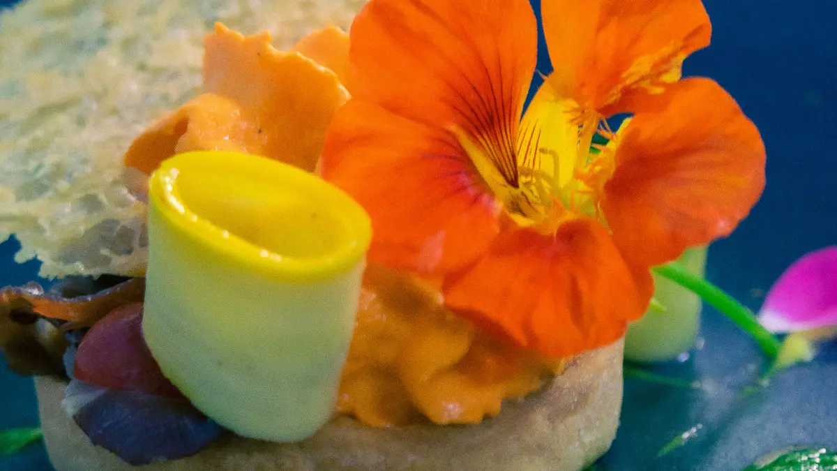 Trésors de Campagne (4)