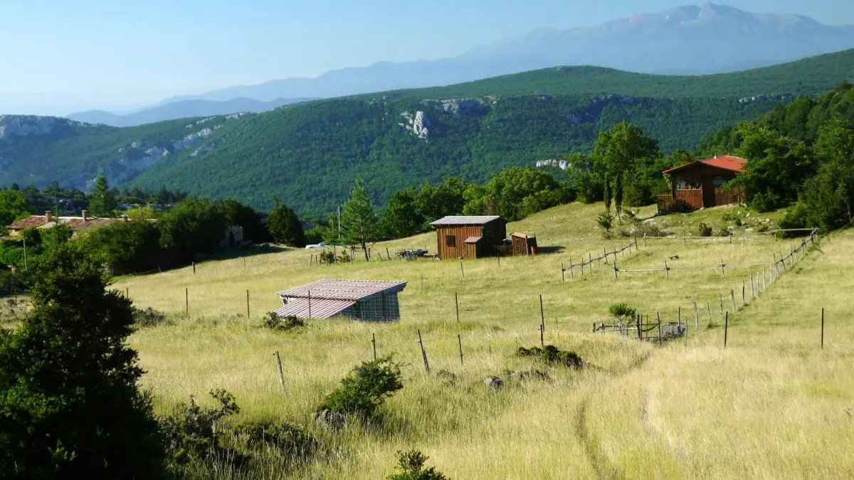 Aperçu général de la propriété